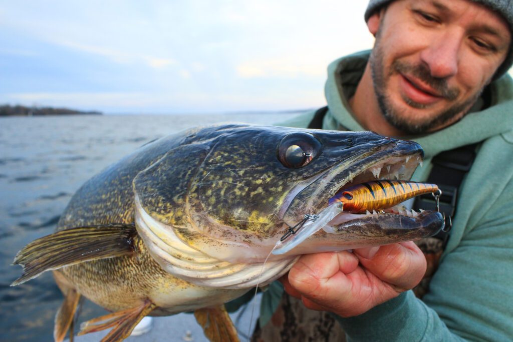 man holding walleye close to the camera