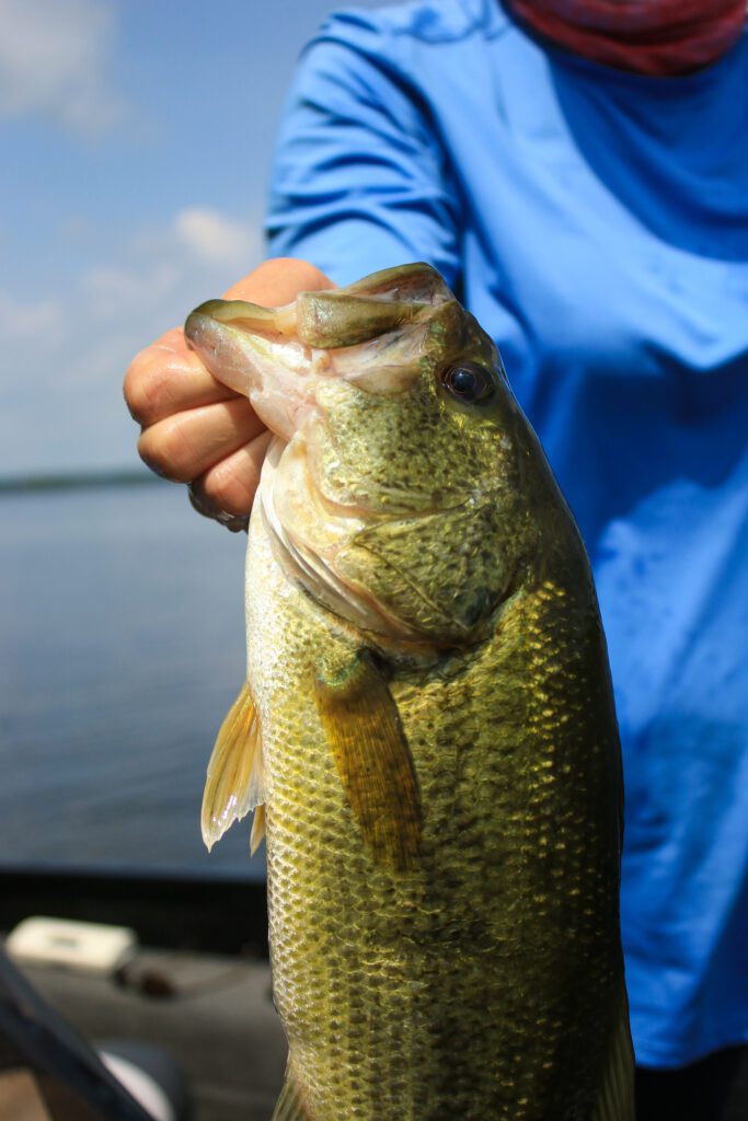 Ultimate Guide To Ontario Lake Fishing Tips, Spots & More Fishing