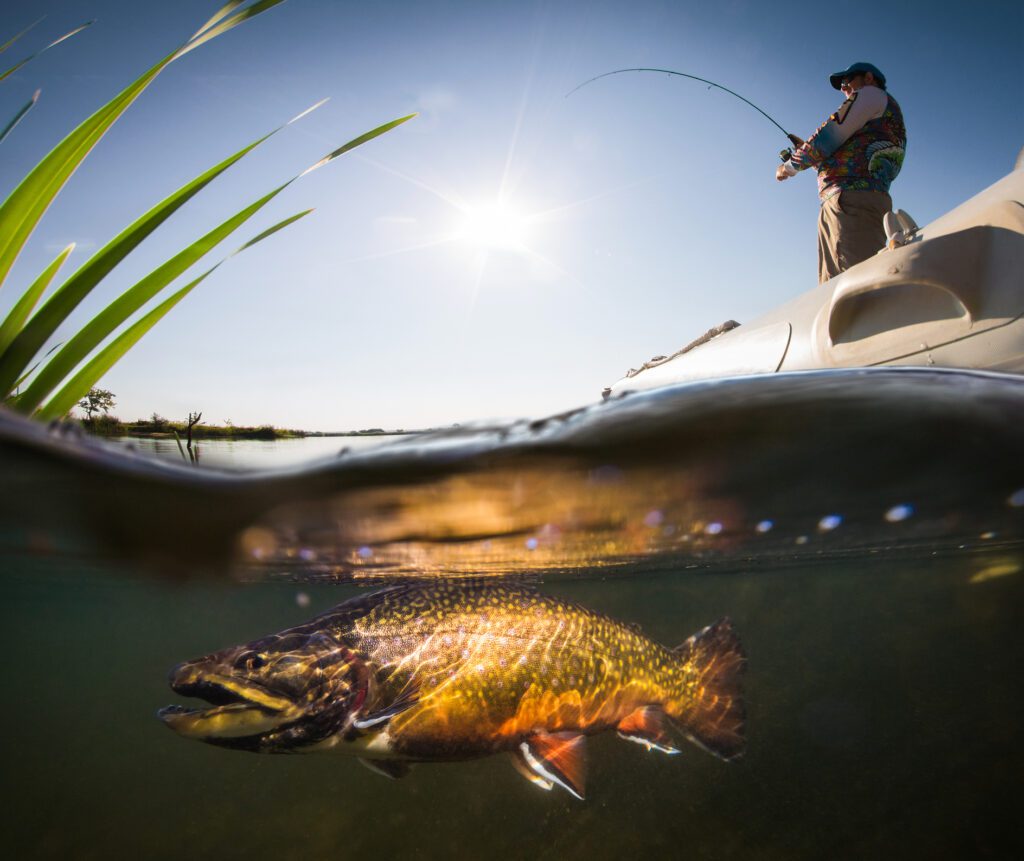 trout in water with fisherman in a boat above