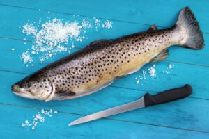 filleting trout