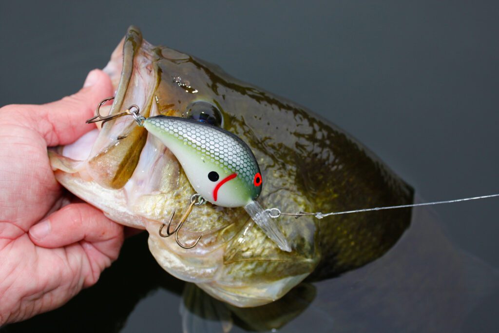 Best Bass Fishing Lures