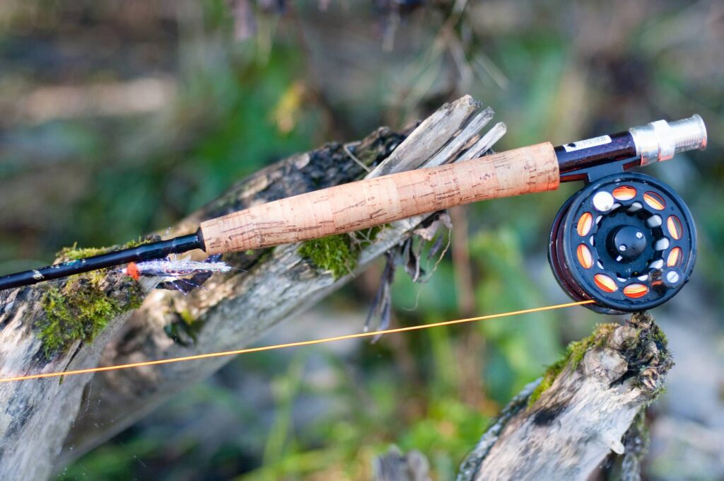 fly rod and reel