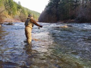About Fishing Tips Pro