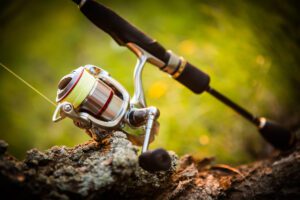 best saltwater spinning reels