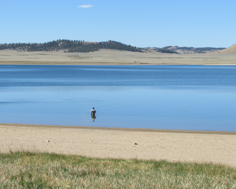 fly fishing lakes - spinney mountain reservoir