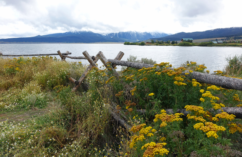 fly fishing lakes - henry's lake Idaho