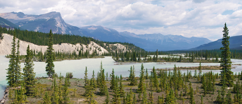 fly fishing lakes - lake athabasca Canada